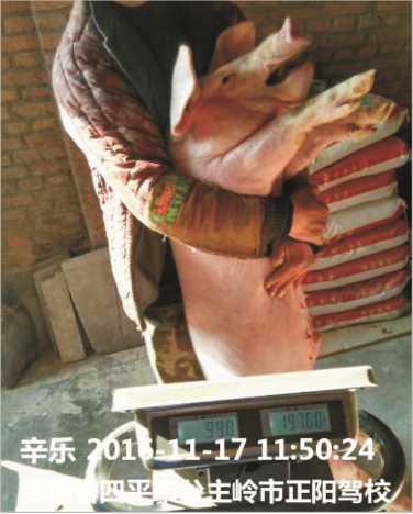 利豪娱乐保育料（Z101）的实证案例